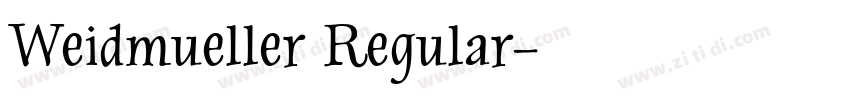 Weidmueller Regular字体转换